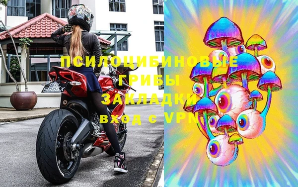 СК Аркадак