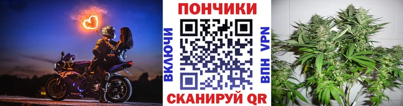 Бошки марихуана Ganja  Купить  Злынка 